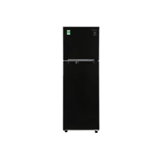 Tủ lạnh Samsung Inverter 256 lít RT25M4032BU/SV