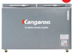 Tủ đông kháng khuẩn 230 lít KGFZ290NG2