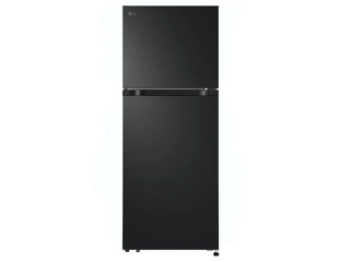 Tủ lạnh LG Inverter 217 lít LTB21BLMI