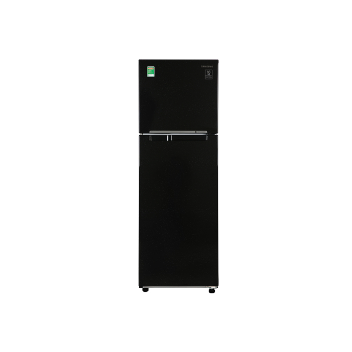 Tủ lạnh Samsung Inverter 256 lít RT25M4032BU/SV