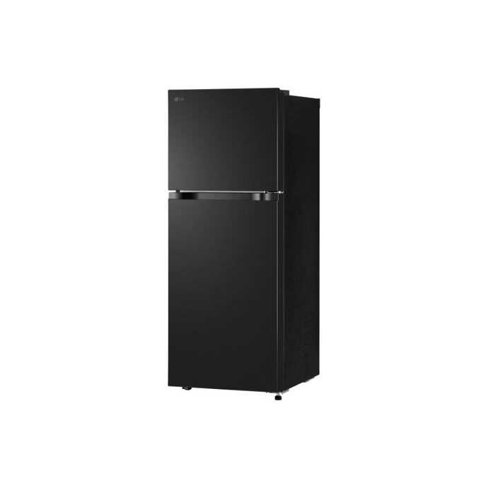 Tủ lạnh LG Inverter 217 lít LTB21BLMI