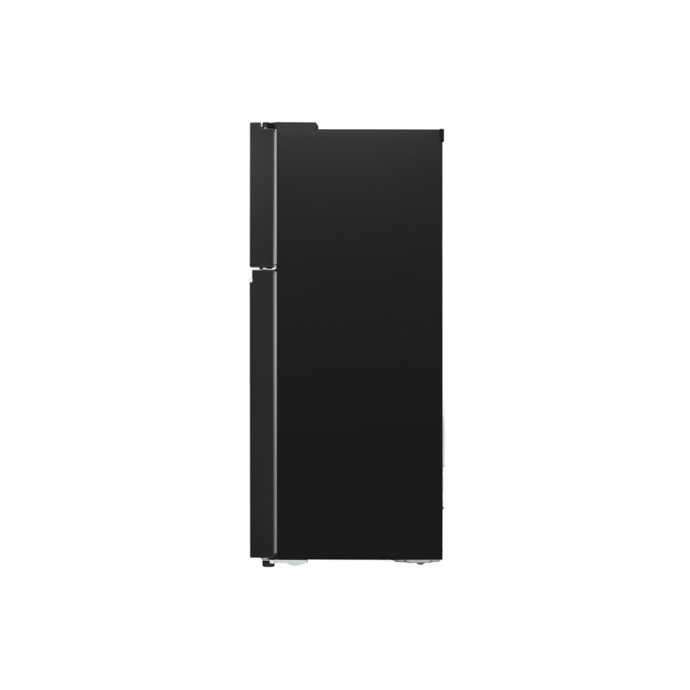 Tủ lạnh LG Inverter 315 lít LTB31BLM 
